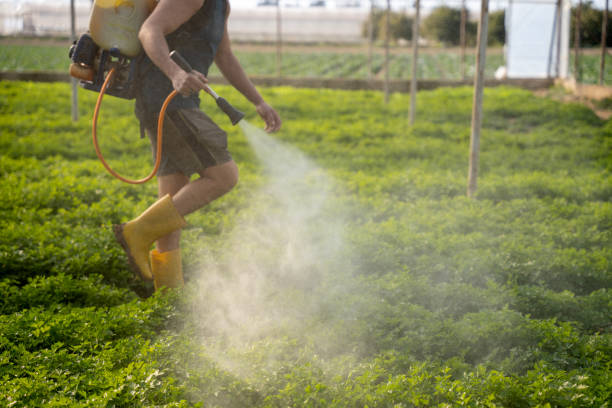 Osburn, ID Pest Control Company