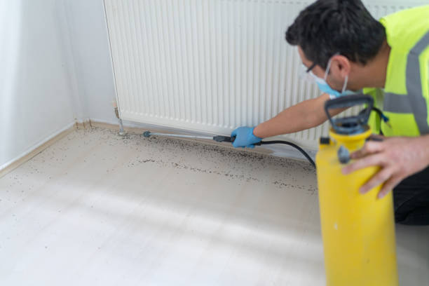 Best Exterminator Services  in Osburn, ID
