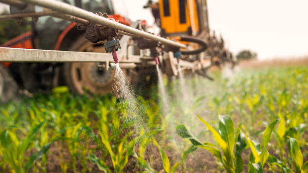 Best Ant Control Services  in Osburn, ID